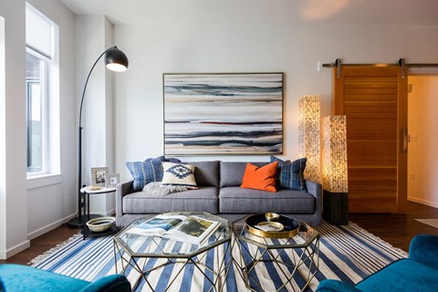 a living room with a gray couch and a striped rug